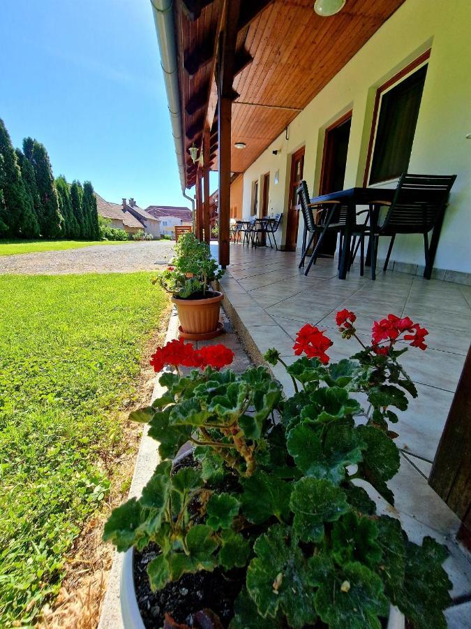 Ibolya Vendeghaz Appartement Kehidakustány Buitenkant foto